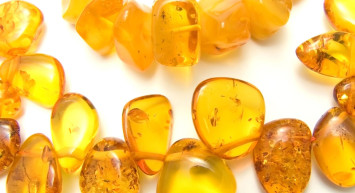 Kehribar Taşı Nedir, Faydaları Nelerdir?