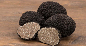 Kilosu 15 bin TL! Nedir bu trüf mantarı?