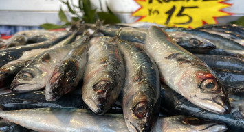 Alıcı da satıcı da mutlu! Kilosu 15 lira olan kolyoz balığı dikkatleri üzerine çekti!