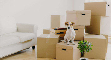 Kimler ihtiyaç kredisi alabilir?