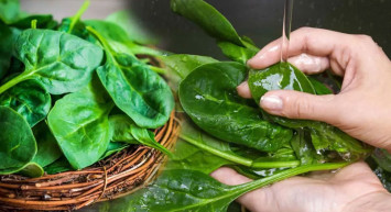 Kinder’den sonra şimdide ıspanakta salmonella tehlikesi: Hemen iade edin sakın tüketmeyin