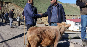 Kırşehir kurbanlık fiyatları ne kadar? 2022 Kırşehir büyükbaş, küçükbaş kurbanlık hisse fiyatları