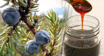 Kış mevsiminin vazgeçilmez şifa kaynağı: Ardıç Pekmezinin faydaları!