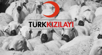 Kızılay 2022 Yurt içi, yurt dışı kurban bağışı kaç TL? Kızılay kurban bağış parası hangi banka şubelerinden yatırılır?