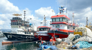 Kocaeli'de Balıkçılar 'Deniz Salyası' Sebebiyle Sezonu Kapattı
