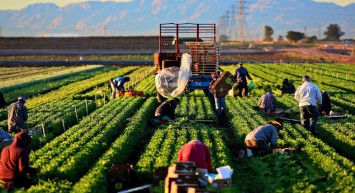 Komisyonda kabul edildi: Çevre zarar veren orman suçu işleyecek