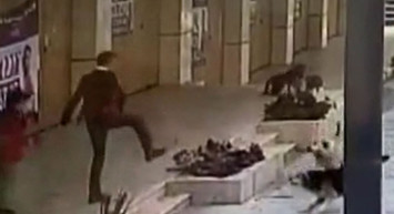 Köpek saldırıları bitmek bilmiyor: İstanbul'da 8 yaşındaki Ömer nerdeyse canından oluyordu!