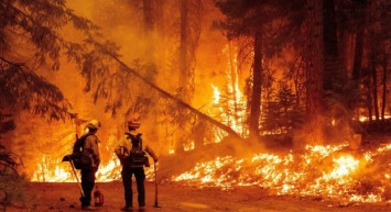 Korkutan orman yangını: Yetkililer acil durum ilan etti!