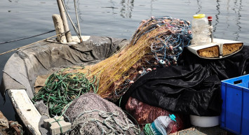 Küçük balıkların avlanması Marmara Denizi'nin ekosistemini tehdit altında bırakıyor!
