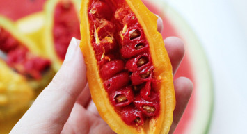 Kudret narı nedir, neye iyi gelir, hangi hastalıkları önler? Kanseri önleyen mucizevi meyve kudret narının faydaları