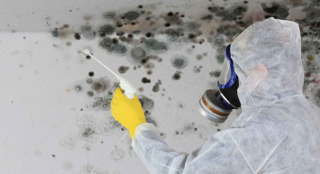 Küf deyip geçmeyin: Bir çok hastalığa sebep oluyor!