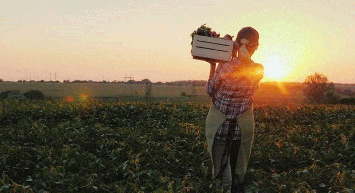 Kuraklık Desteği Nedir, Kuraklık Destek Ödemeleri Ne Zaman Yatacak?