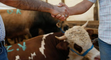 Kurban bayramı ne zaman, hangi tarihte? Kurban bayramı tatil tarihleri belli oldu mu?