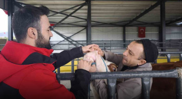 Kurban Bayramı Öncesi Kurbanlık Denetimleri Sıkılaştırıldı
