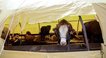 Kurban Bayramı tarihi ne zaman? 2022 Kurban Bayramı hangi gün başlıyor, kaç gün tatil olacak?