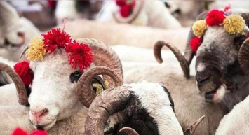 Kurban Bayramı tatili ne zaman, hangi tarihte başlıyor? Kurban Bayramı 2022 ne zamana denk geliyor?