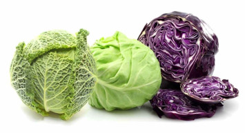 Lahana gaz, kabızlık yapar mı? Uzman doktorlar açıkladı bebeklerinize sakın yedirmeyin emziren kadınlar uzak dursun!