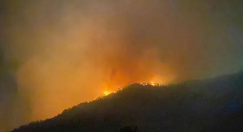 Manavgat’ın Ardından Gazipaşa’da da Orman Yangını Başladı