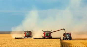 Malatya'dan sevindiren haber: Ekilen buğday yüksek verim verdi