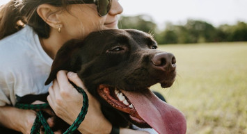Malezya'da Köpekten İnsana Geçen Koronavirüs Türü Tespit Edildi