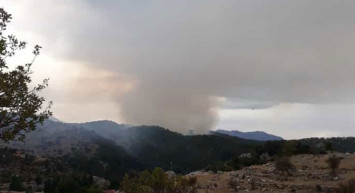 Manavgat'ta Aynı Bölgede İkinci Yangın Çıktı!