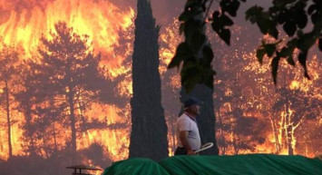 Manavgat'ta Çıkan Yangında 4 Bölgeden 3'ü Kontrol Altına Alındı! 1 Kişi Hayatını Kaybetti