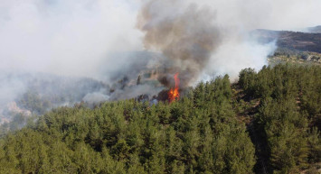 Manisa’da orman yangını: Alevler her yeri sardı