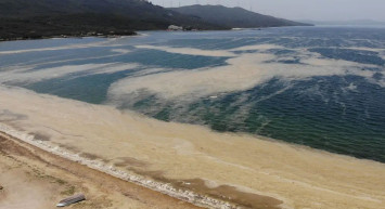 Marmara Denizi’ndeki Deniz Salyaları ABD Basınında