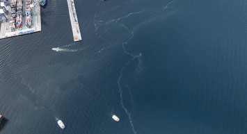 Marmara Denizi'nin kabusu geri döndü: Beylikdüzü açıklarında müsilaj izleri görüldü