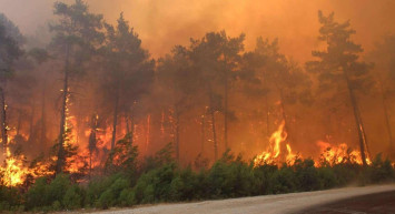 Marmaris Bördübet orman yangını söndü mü? Marmaris orman yangını nasıl ve neden çıktı?