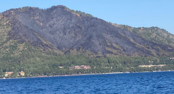 Marmaris'te Yanan Ormanlık Alana Yeni Ağaçlar Dikilecek