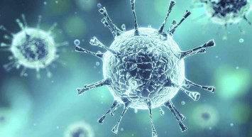 Maymun çiçeği virüsü nedir, nasıl bulaşır? Maymun çiçeği (Monkeypox) belirtileri neler? Maymun çiçeği virüsü tedavisi var mı?