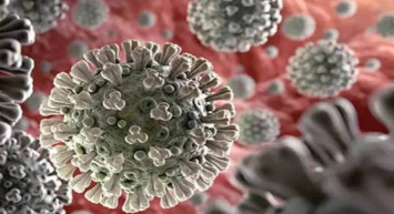 Maymun Çiçeği Salgını: Türkiye'deki Son Durum ve Merak Edilenler