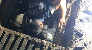 Mazgalda 3 gün mahsur kalan kedi, 2 saatlik çalışmayla kurtarıldı