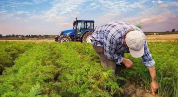 Mazot gübre desteği ne zaman yatacak? Mazot gübre desteği ne zaman, kimlere ödenecek?