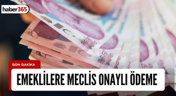 MECLİS ONAYINDAN GEÇTİ! Her ay tıkır tıkır aksatılmadan emeklilerin hesaplarına yatırılacak