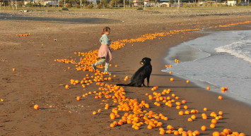 Mersin’den görenleri hayrete düşüren görüntüler: Sahile portakal vurdu!