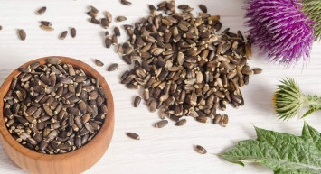 Meryemana dikeni ne işe yarar, tohumu nasıl kullanılır? Sedef hastalığının doğal ilacı olan Meryemana dikeninin faydaları 