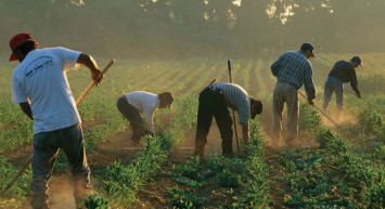 Milyonlarca kişi merakla bekliyordu Bakan Bilgin Açıkladı: Geçici işçilerin prim sorunu çözülüyor