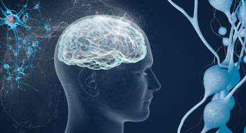 MS hastalığı nedir, belirtileri nelerdir, genetik mi? Cinsel sağlık sorunlarına yol açan MS hastalığı ile ilgili bilinmesi gerekenler