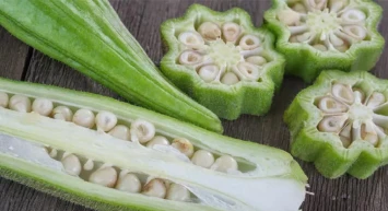 Mucize Tohum: Bamya Tohumu Sağlıkta Yeni Bir Yıldız