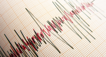 Muğla 4 dakika arayla iki defa sallandı