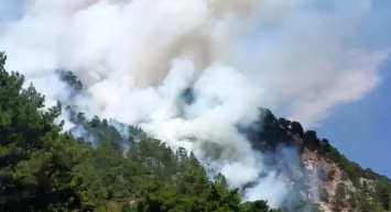 Muğla, İzmir ve Antalya'da Orman Yangını: Dumanlar Etrafı Sardı!