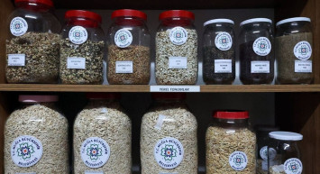 Muğla'dan 22 Milyon Yerel Tohum Dağıtımı