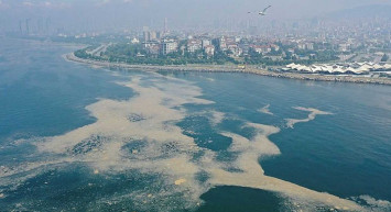 Musilaj kabusu yeniden aramızda: İşte Marmara'daki müsilajın nedeni