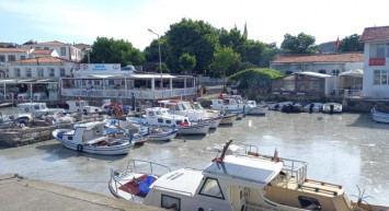 Müsilaj Tatil Cenneti Bozcaada'da Da Görüldü!