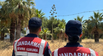 Nadir Bulunan ''Agave'' bitkisine Aydın'da Rastlanıldı