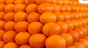 Narenciye ihracatında Türkiye hedefi aştı: 1 milyar doların üzerinde!