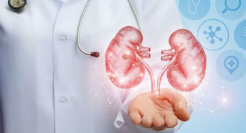 Nefroloji Bölümü Nedir, Hangi Hastalıklara Bakar?
