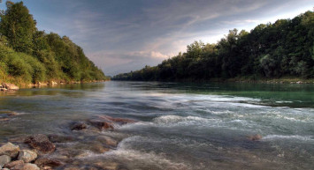 Nehirde yüzerken dünyanın en büyük altın parçası eline çarptı!